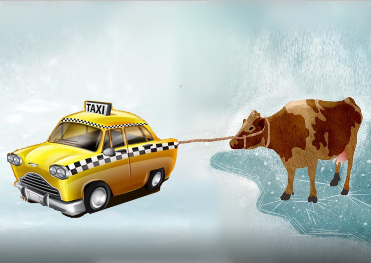 Pbefg Novelle Ist Die Kuh Schon Vom Eis